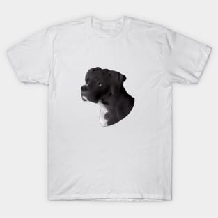 Bruno Smooth T-Shirt